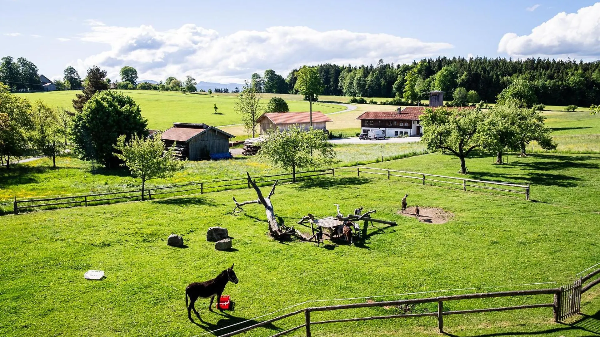 Thalerbauer Ferienwohnungen Wackersberg Németország