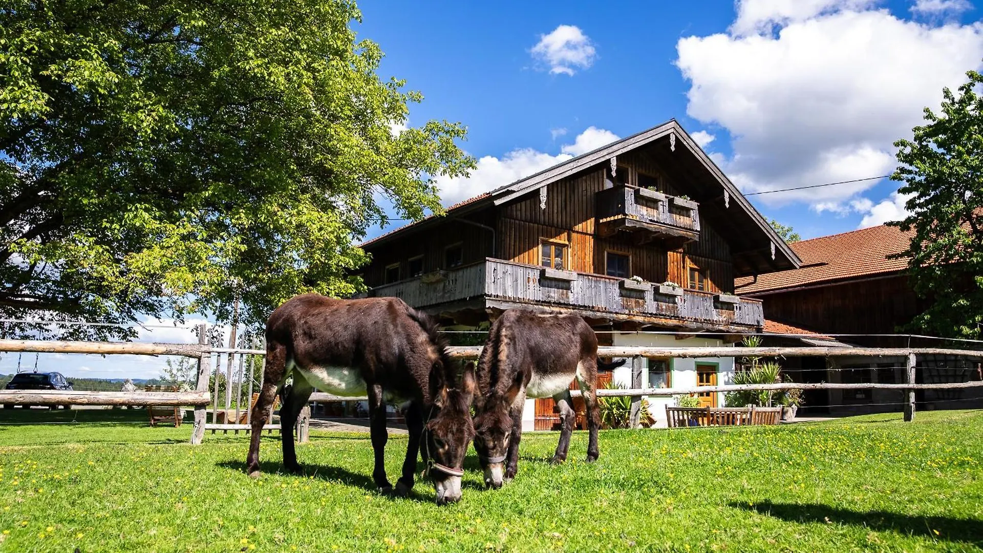 Thalerbauer Ferienwohnungen Wackersberg